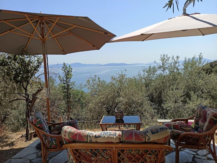 Pelion Mountain & Sea Villa - Private Studio Άνω Γατζέα Εξωτερικό φωτογραφία