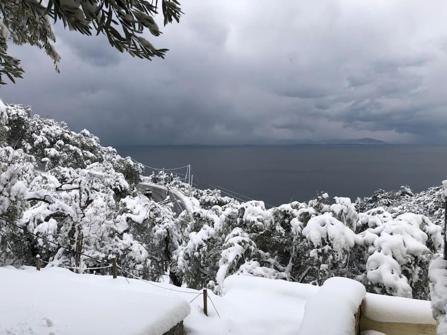 Pelion Mountain & Sea Villa - Private Studio Άνω Γατζέα Εξωτερικό φωτογραφία