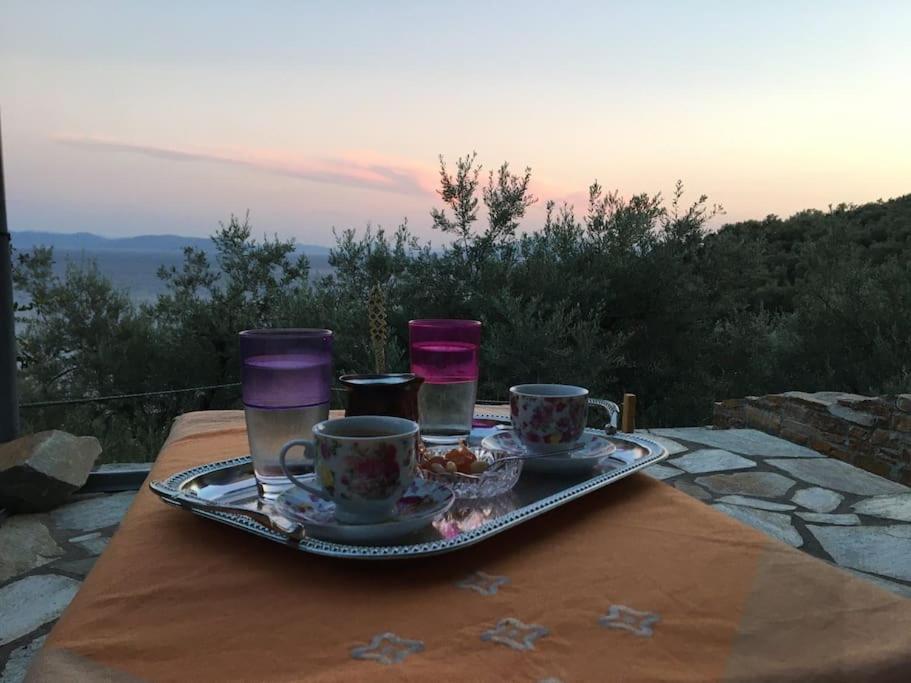 Pelion Mountain & Sea Villa - Private Studio Άνω Γατζέα Εξωτερικό φωτογραφία
